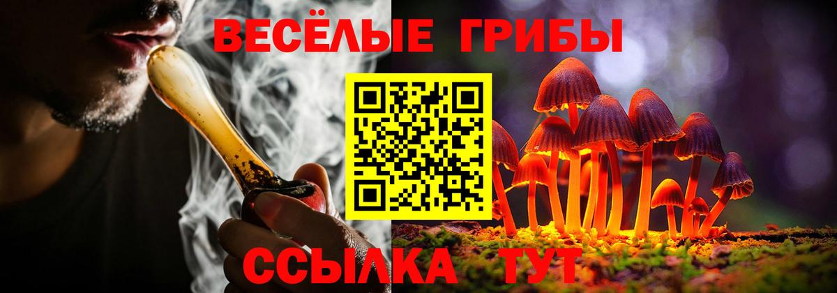 Одинцово  Галлюциногенные грибы прущие грибы  Вход с VPN 